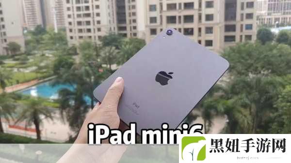 如何确保mini6的秘密入口安全，1. 如何有效保护Mini 6秘密入口的安全性