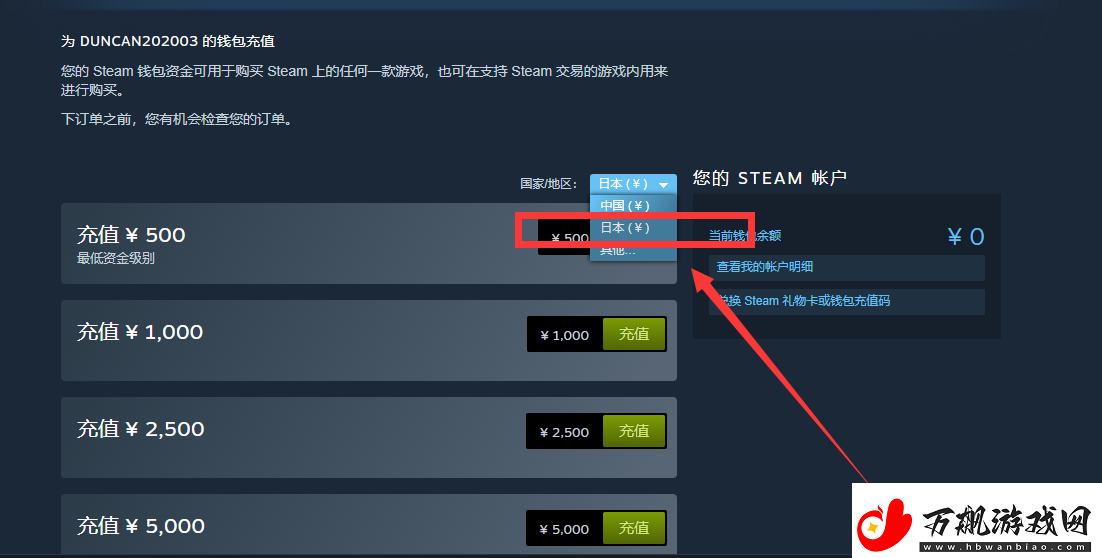 steam“Dungeonborne”下载找不到更改steam地区下载Dungeonborne全攻略