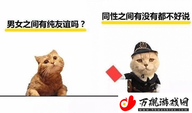 埃及猫和小男孩瑟瑟的奇妙友谊